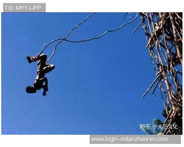 2026年3月份新闻从零起步探索极限运动的耐力训练与技巧全解析